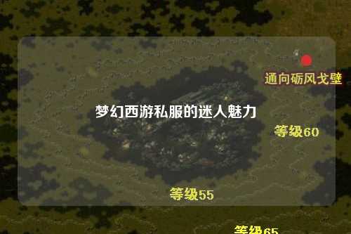 梦幻西游私服的迷人魅力